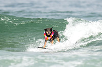 Dog Surfing Championships 08-03-19