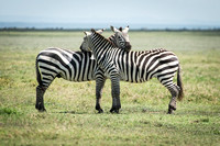 Tanzania 2014 Photos